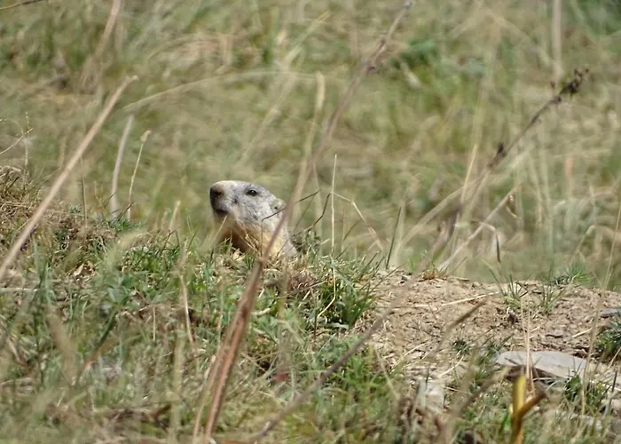 L'ansloboys Montagne A2 Lejlighed Les Deux Alpes